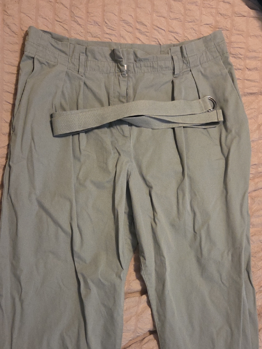 GAP Slate  Womens Pleated Pants with Belt